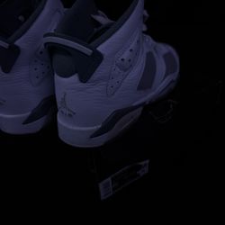Jordan 6 Retro cool grey