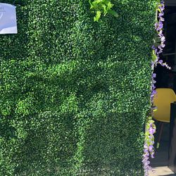 Grass Wall For Events 