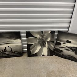 Set de 3 cuadros de Lienzo