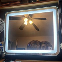 Large Lighted Mirror 