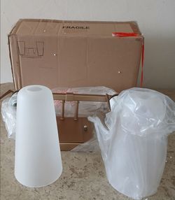 New $20 Vanity Wall 2- Light Lamp
