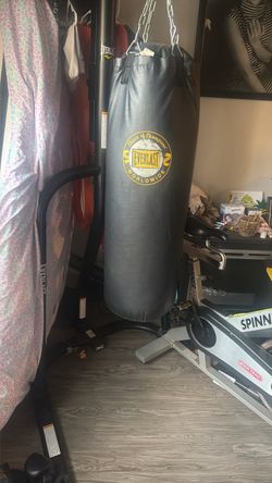 Everlast Punching Bag