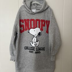 Zara Hoodie dress  Size 8