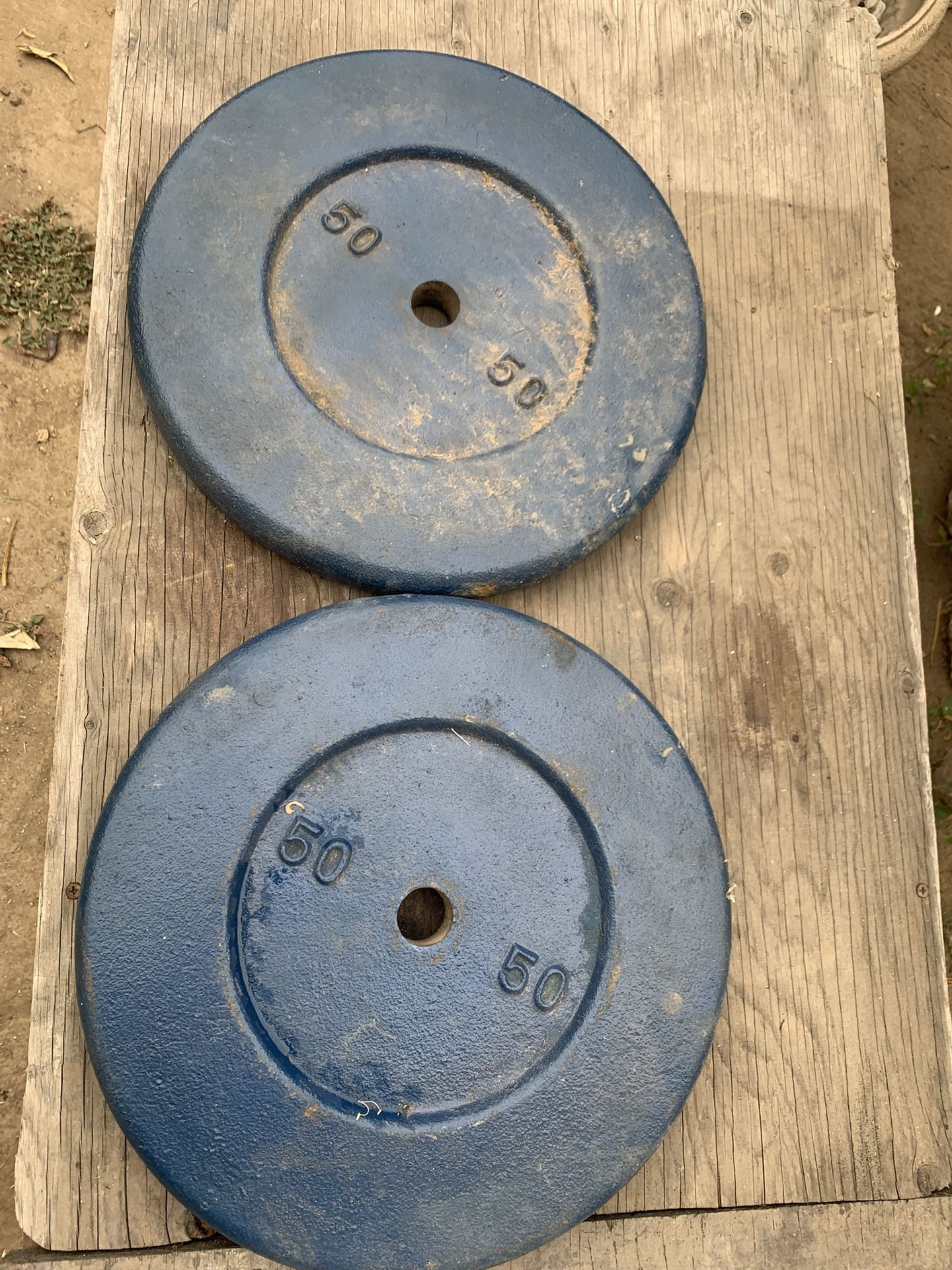 50 POUND WEIGHTS 💪🏼