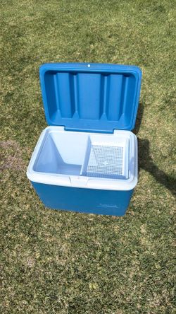 Rubbermaid cooler