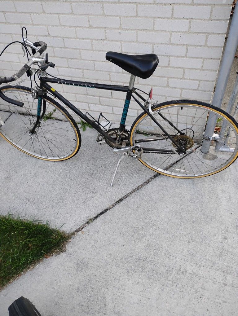 1987 Schwinn World Sport