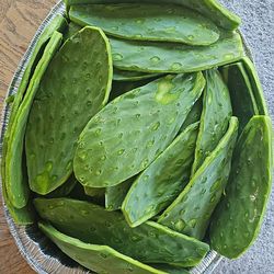 Nopales