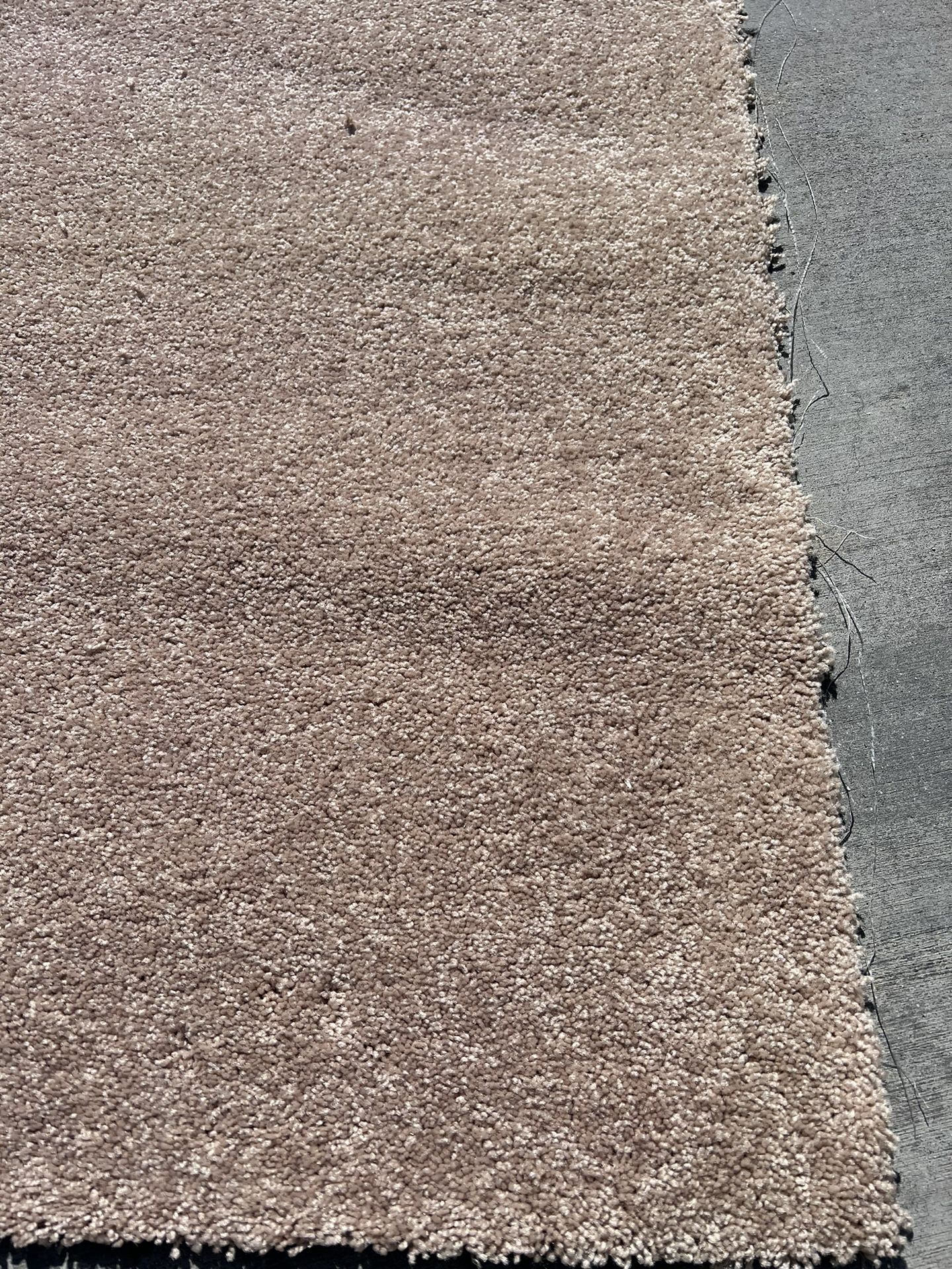 Light Brown Carpet $450