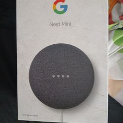 Google Nest Mini