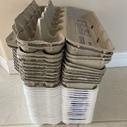 100 Egg Cartons 