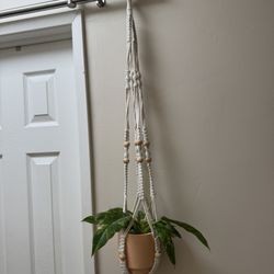 Hanging Plant Holder -$15