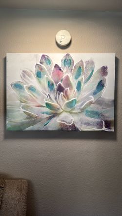 Canva - succulent