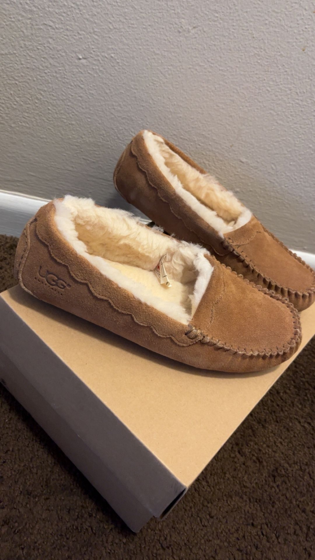 Moccasins