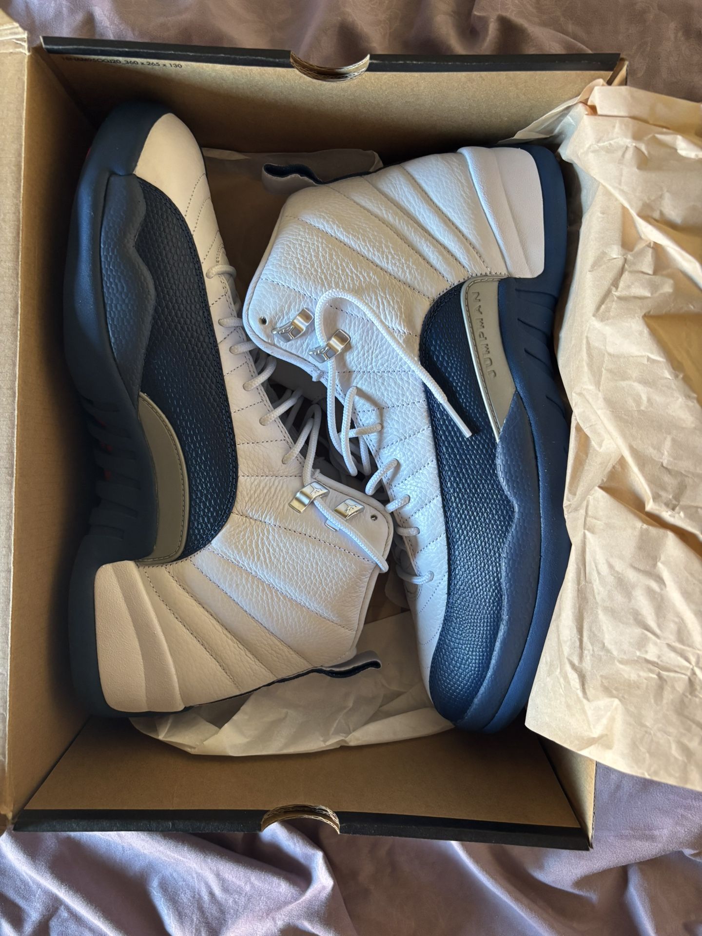 Brand New Air Jordan Retro 12