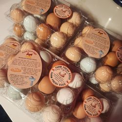 Free range chickens eggs