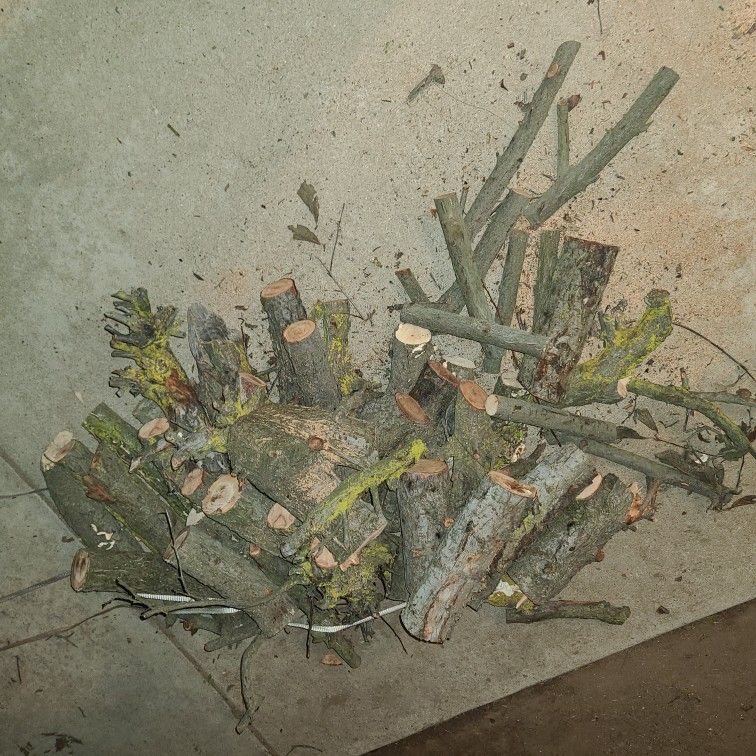 Cut Fire Wood