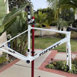 2025 Giant TCR Advanced SL Frameset (Size M / 54cm)