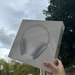 Apple Headphones (BEST OFFER ONLY)