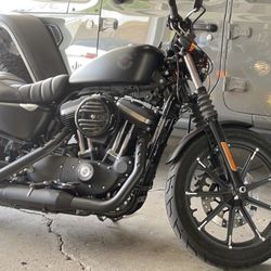 2019 Harley Davison XL883N Iron 883