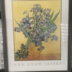 Van Gogh Irises Print