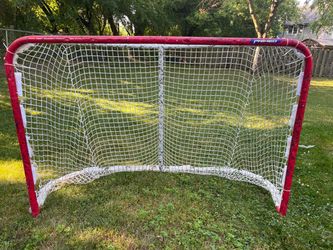 Hockey net, pucks, targets, shooter