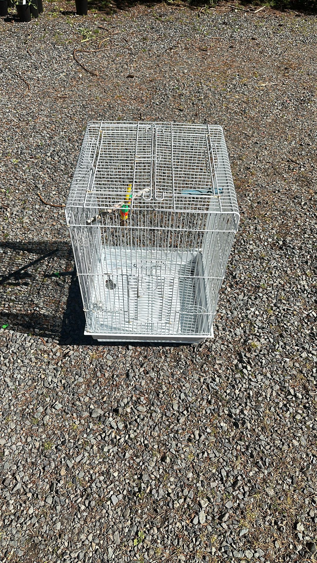Bird Cage