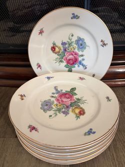 7 large plates