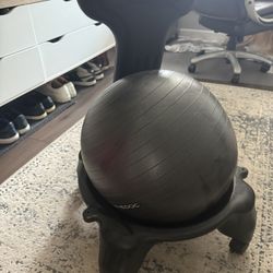 Exercise Ball Chair 