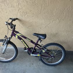 Kids Girls Mountain Bike 20” Wheels