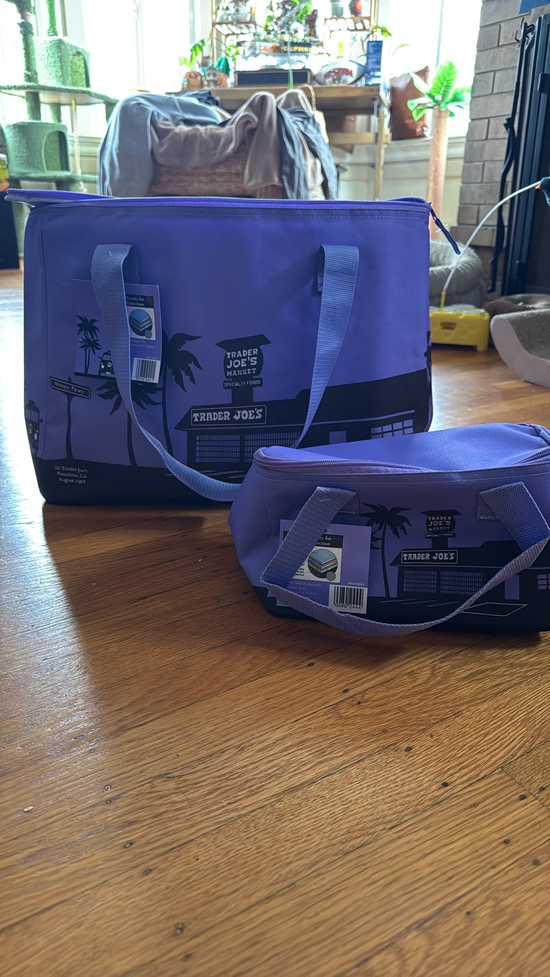 Trader Joe’s Insulated Bags
