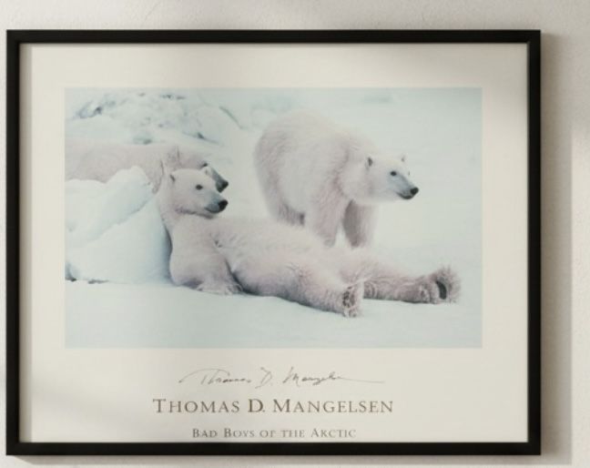Thomas D. Mangelsen – “Bad Boys of the Arctic” – Polar Bears Wildlife Art – Framed Print 27x3