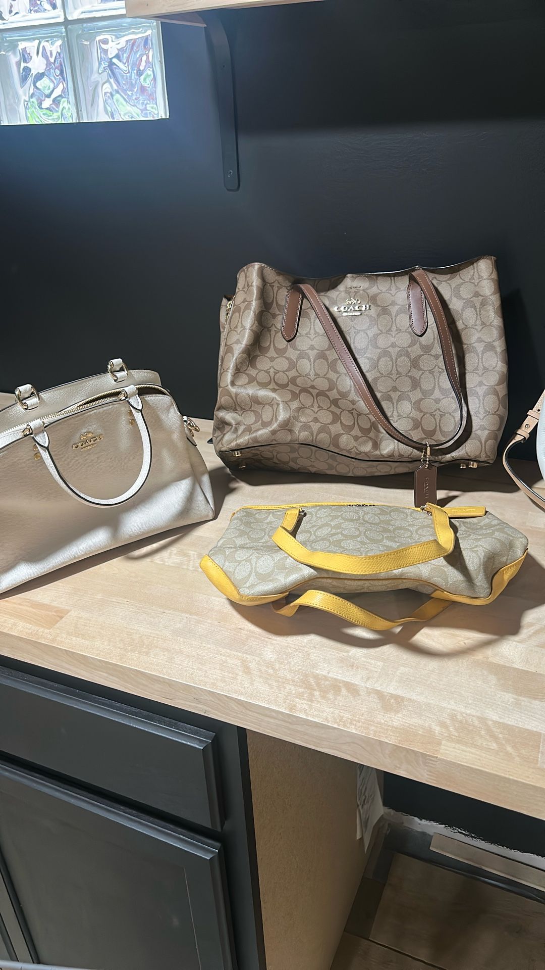 Coach And Michael Kors Bags