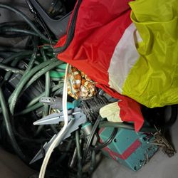 Snake Removal Service