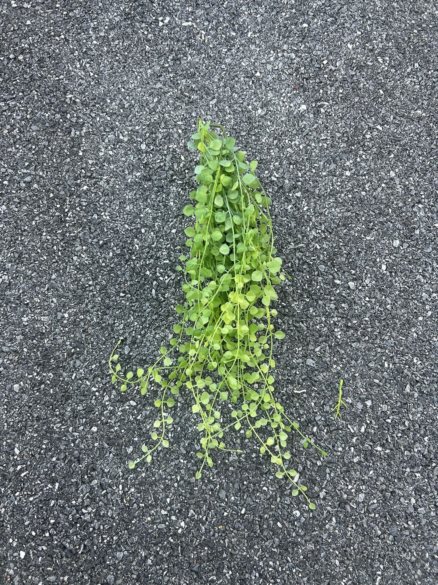 Artificial Hanging Plant