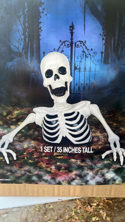 Skeleton