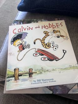 Calvin And Hobbes Books