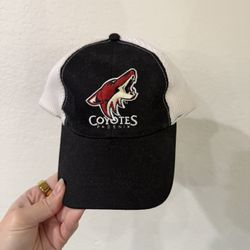 Phoenix Coyotes Hat