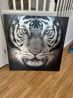 Tiger Art Picture 