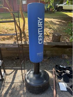 Kicking/punching stand
