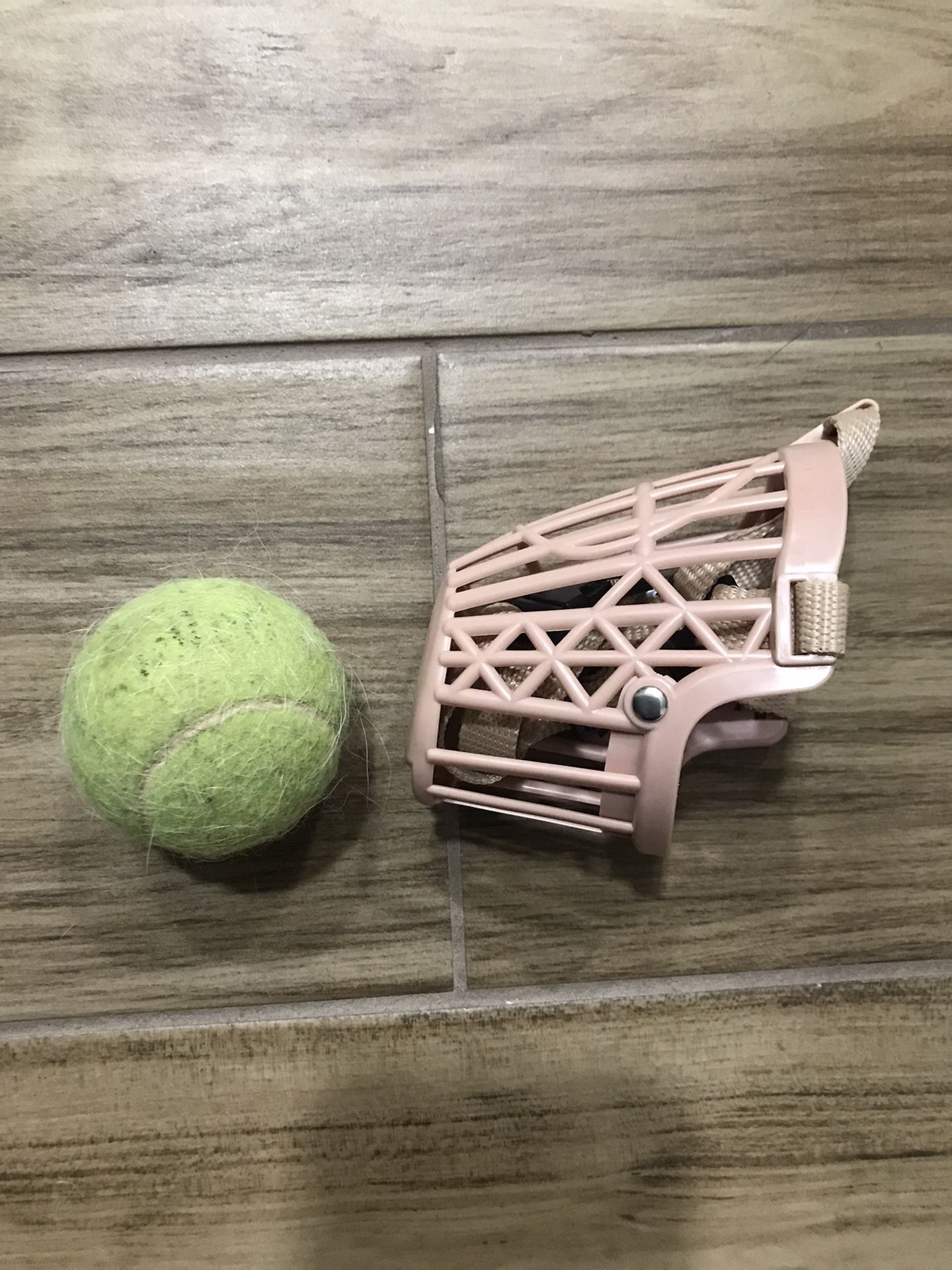 dog muzzle, medium size 4