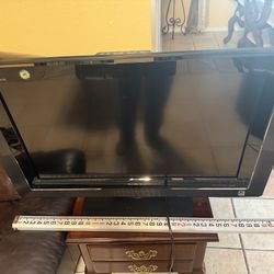 Sony Bravia TV/Computer Monitor