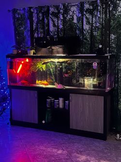 Fish tanks W/fluval filters