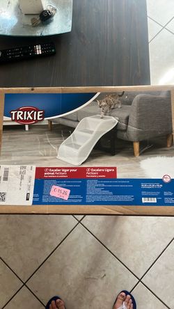 Animal cat dog stairs