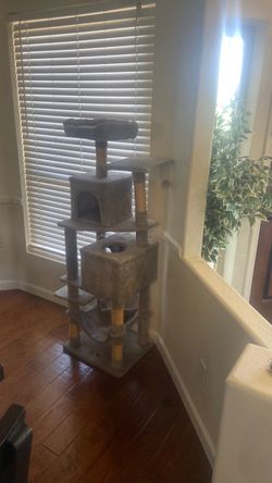 Cat house