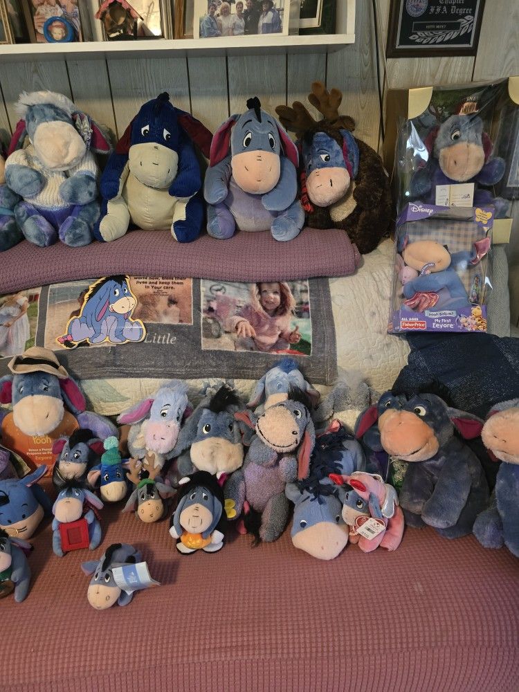Eeyore Crazy