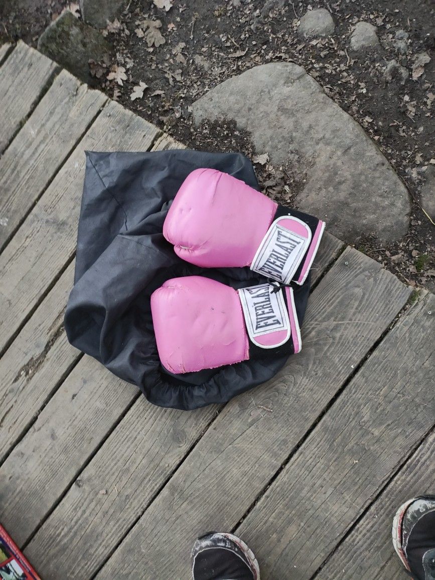 Old Boxing Gloves