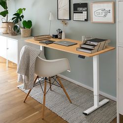 40" × 24" Electric Height Adjustable Standing Desk Home Office Computer Desk Memory Preset with T-Shaped Metal 