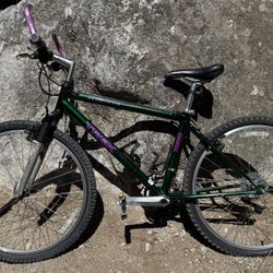 Trek 7000 Mountain Bike