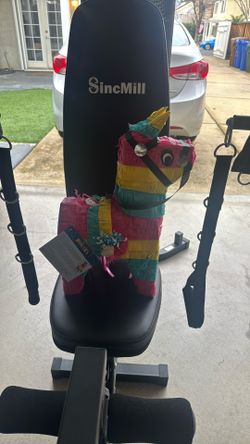 Donkey Piñata