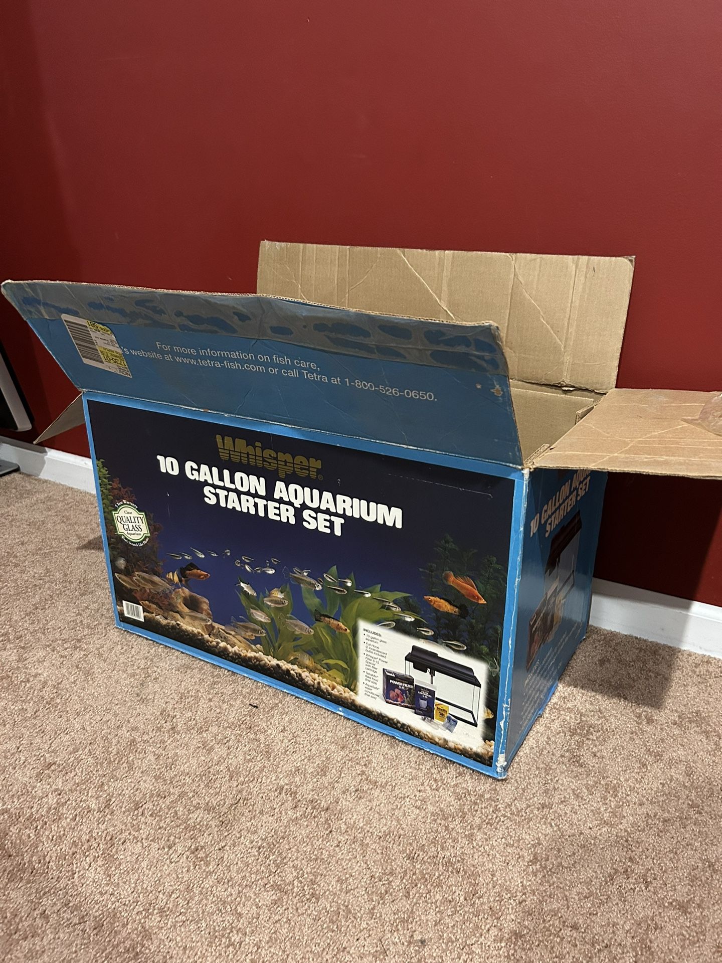 10 gallon aquarium kit (used)